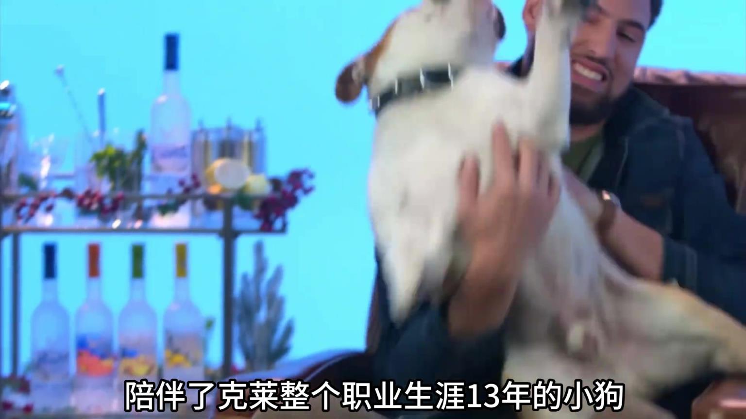 陪伴克萊13年的小狗去世了，不敢相信克萊得多么傷心